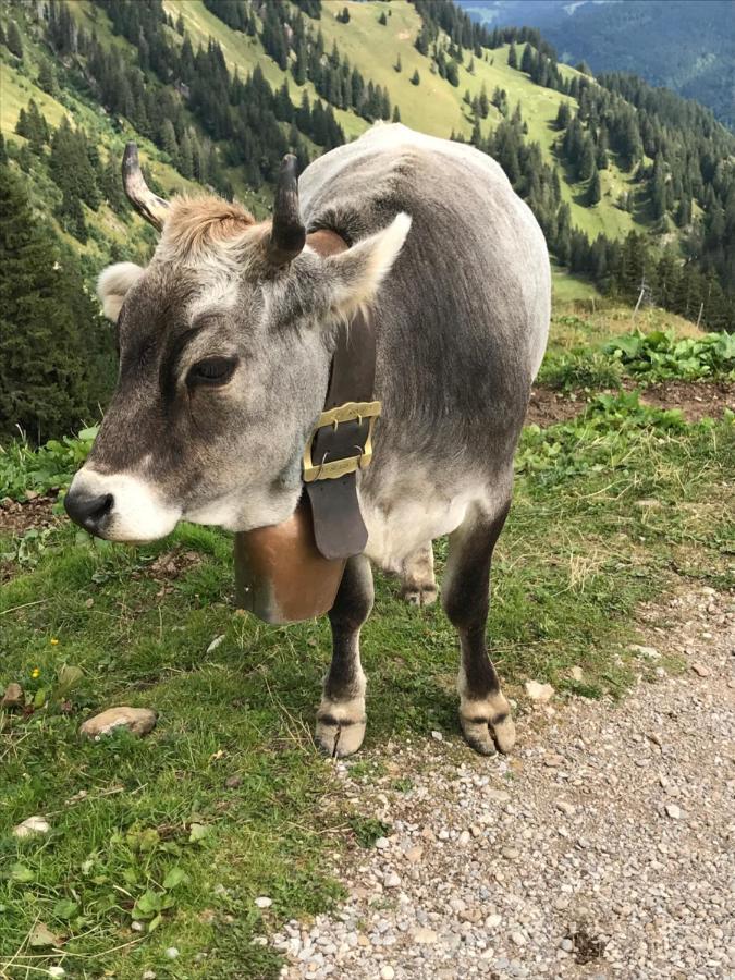 Kraehenberg Am Rande Der Wildnis Διαμέρισμα Sibratsgfäll Εξωτερικό φωτογραφία