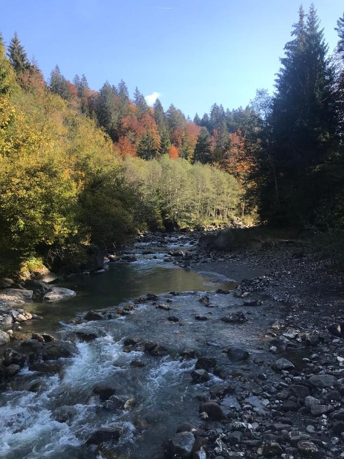 Kraehenberg Am Rande Der Wildnis Διαμέρισμα Sibratsgfäll Εξωτερικό φωτογραφία